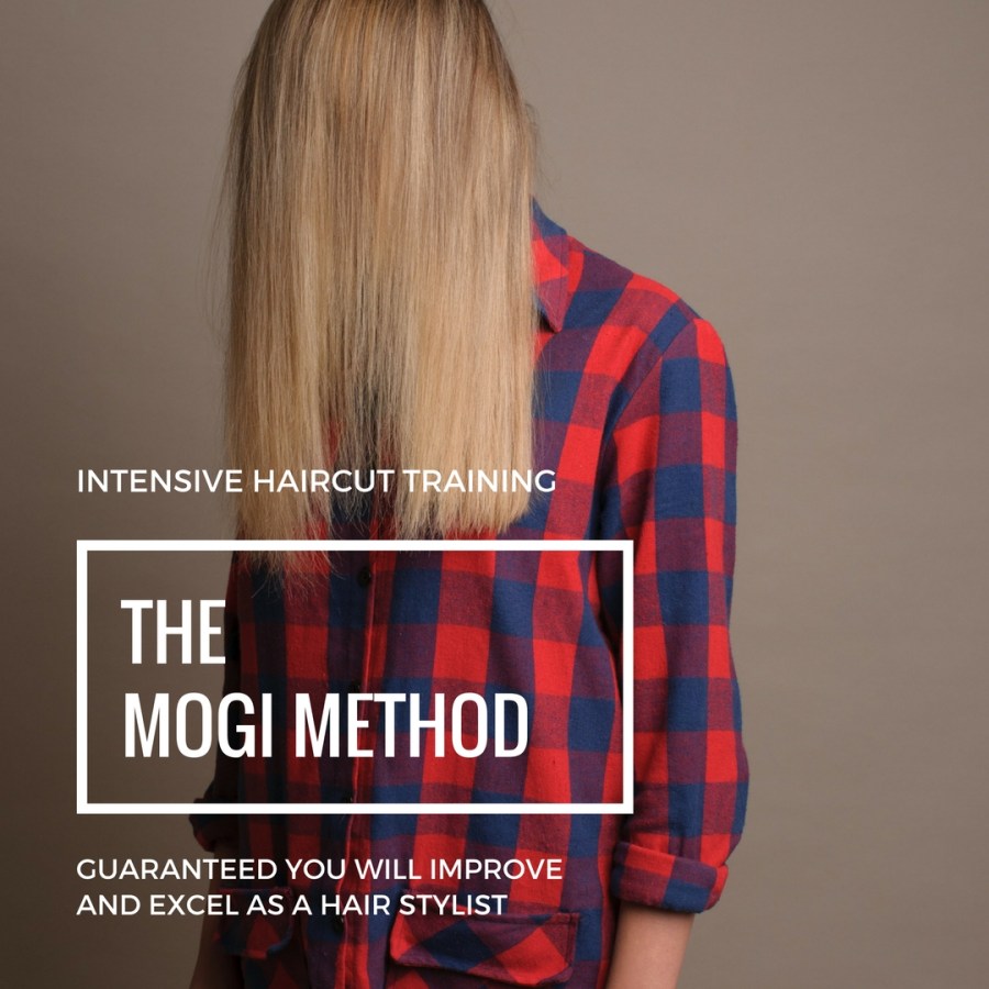 Mogi 2017 Hair Srylist Bootcamp Training Class